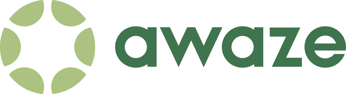 logo-awaze-1306x122.png